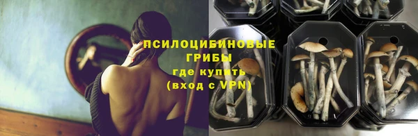 таблы Гусиноозёрск