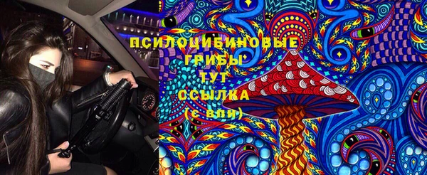 a pvp Гусь-Хрустальный