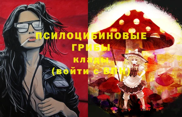 a pvp Гусь-Хрустальный