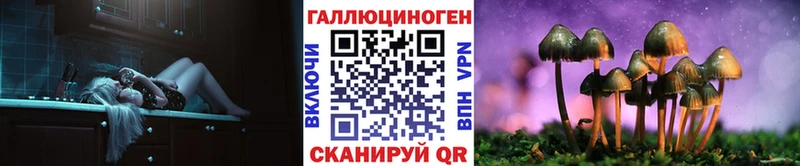 Псилоцибиновые грибы MAGIC MUSHROOMS Курганинск